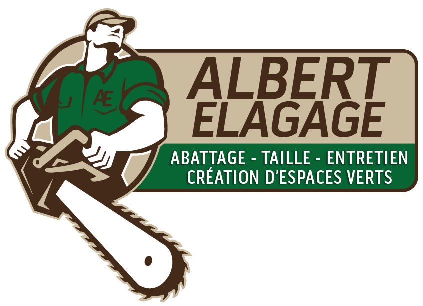 Logo Albert Elagage